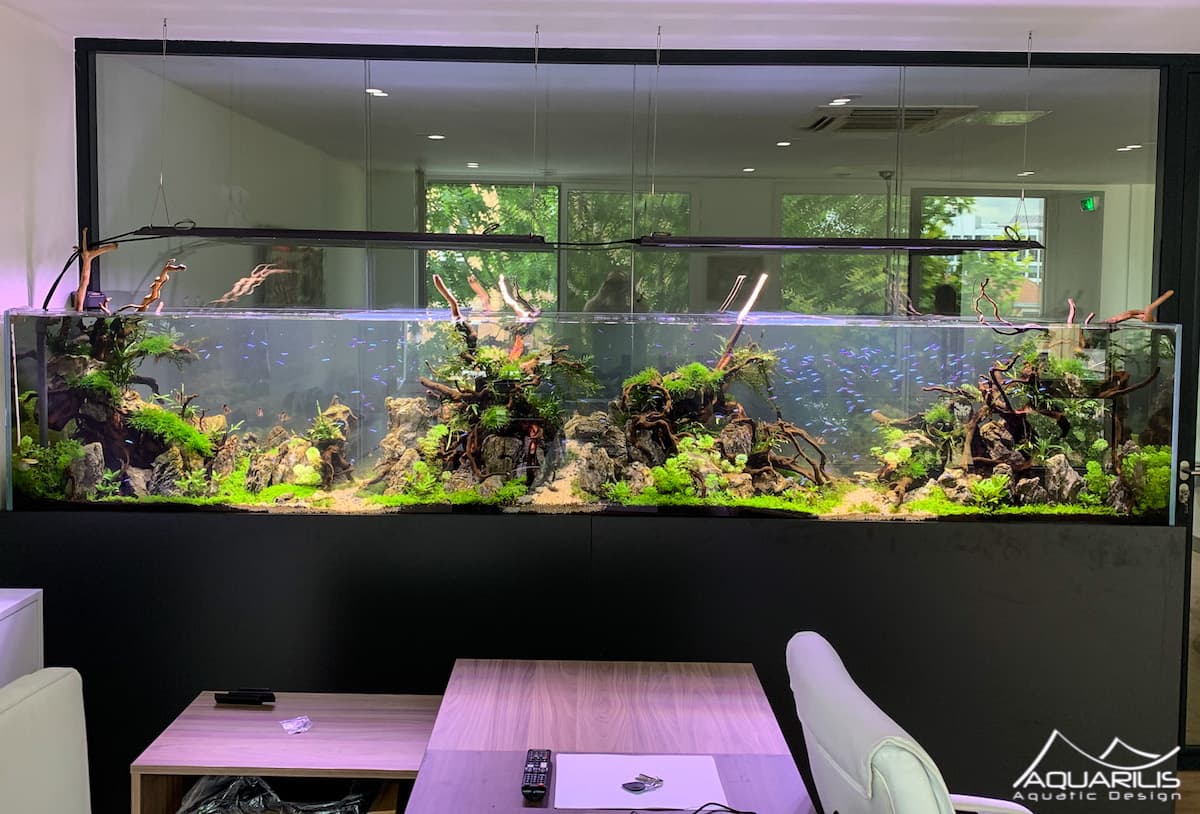 Aquarium